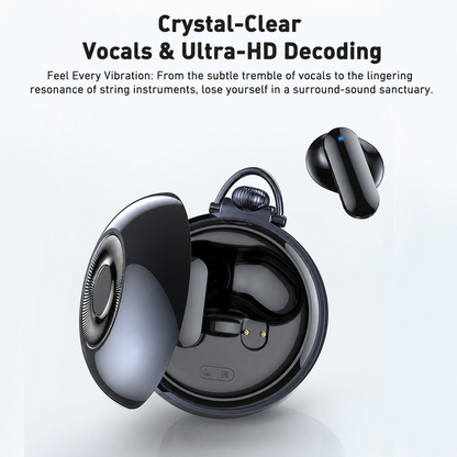 VOULAO NE71 AI Translation Earbuds Real Time